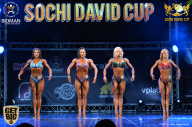 Sochi David Cup - 2017