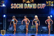Sochi David Cup - 2017