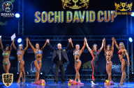 Sochi David Cup - 2017