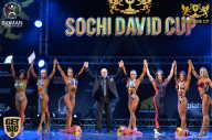 Sochi David Cup - 2017