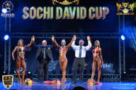 Sochi David Cup - 2017