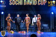 Sochi David Cup - 2017