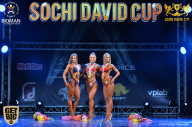 Sochi David Cup - 2017