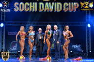 Sochi David Cup - 2017