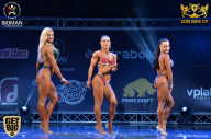 Sochi David Cup - 2017