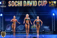 Sochi David Cup - 2017