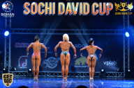 Sochi David Cup - 2017