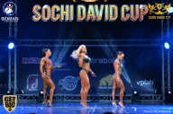 Sochi David Cup - 2017
