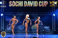 Sochi David Cup - 2017