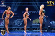 Sochi David Cup - 2017