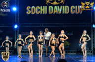 Sochi David Cup - 2017