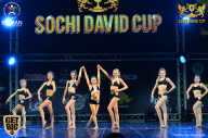 Sochi David Cup - 2017