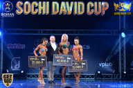 Sochi David Cup - 2017