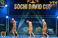 Sochi David Cup - 2017