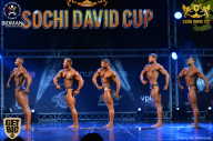 Sochi David Cup - 2017
