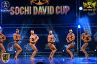 Sochi David Cup - 2017