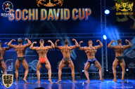 Sochi David Cup - 2017