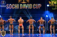 Sochi David Cup - 2017