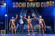 Sochi David Cup - 2017