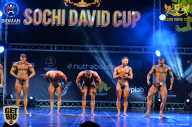 Sochi David Cup - 2017