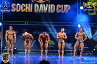 Sochi David Cup - 2017