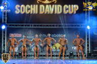 Sochi David Cup - 2017