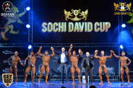 Sochi David Cup - 2017