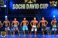 Sochi David Cup - 2017