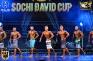 Sochi David Cup - 2017