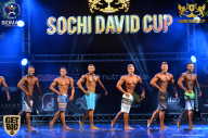 Sochi David Cup - 2017