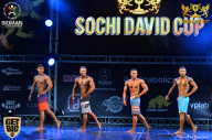 Sochi David Cup - 2017