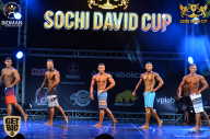 Sochi David Cup - 2017