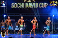 Sochi David Cup - 2017