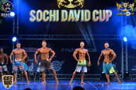 Sochi David Cup - 2017
