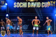 Sochi David Cup - 2017