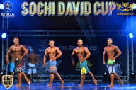 Sochi David Cup - 2017