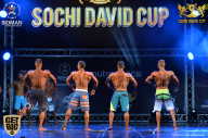 Sochi David Cup - 2017