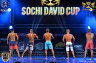 Sochi David Cup - 2017