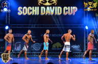 Sochi David Cup - 2017
