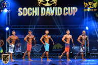 Sochi David Cup - 2017
