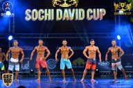 Sochi David Cup - 2017
