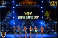 Sochi David Cup - 2017
