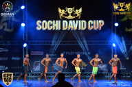 Sochi David Cup - 2017