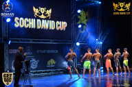 Sochi David Cup - 2017