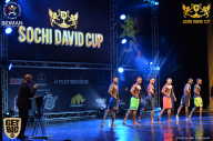 Sochi David Cup - 2017