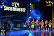 Sochi David Cup - 2017