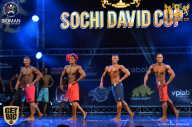 Sochi David Cup - 2017