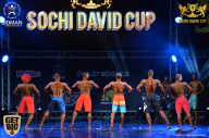Sochi David Cup - 2017