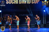 Sochi David Cup - 2017