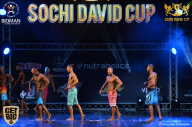 Sochi David Cup - 2017